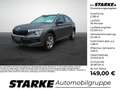 Skoda Kamiq 1.0 TSI DSG Selection Grau - thumbnail 1