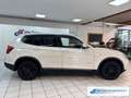 BMW X3 xDrive 30d  El. Panodach Bi-Xenon *EXPORT White - thumbnail 6