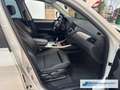 BMW X3 xDrive 30d  El. Panodach Bi-Xenon *EXPORT Weiß - thumbnail 8