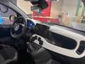 Fiat Panda Pandina 1.0 firefly hybrid s&s 70cv Schwarz - thumbnail 12