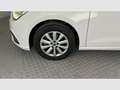 SEAT Ibiza 1.0 TSI 81kW (110CV) Style Plus Blanco - thumbnail 18
