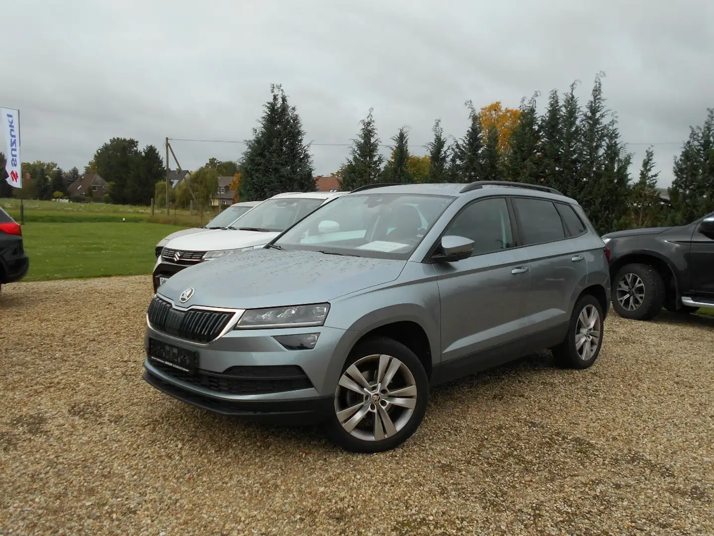 Skoda Karoq Style DSG Sommer / Winterräder Gris - 1