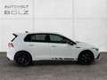 Volkswagen Golf VIII 2.0 TSI GTI Clubsport ACC LED PANO Weiß - thumbnail 8