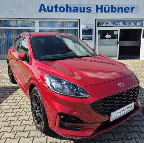 Ford Kuga Hybrid ST Line X Full Hybrid/ Winterpaket / ACC / u.v.m.