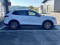 Volkswagen Tiguan 1,5 eTSI * DSG * AHK * ACC * 360° * SHZ Weiß - thumbnail 4