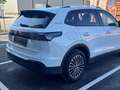 Volkswagen Tiguan 1,5 eTSI * DSG * AHK * ACC * 360° * SHZ Weiß - thumbnail 5