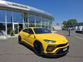 Lamborghini Urus AWD * MWST AUSWEISBAR ! Gelb - thumbnail 3