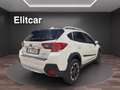 Subaru XV 1.6i Lineartronic 4dventure Bianco - thumbnail 4