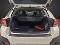 Subaru XV 1.6i Lineartronic 4dventure Bianco - thumbnail 7