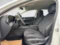 Volkswagen Passat Variant Business TDI DSG Weiß - thumbnail 6