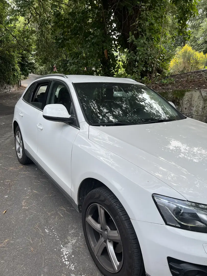 Audi Q5 2.0 tdi Advanced quattro 170cv - 2