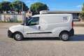 Opel Combo Combo 1.6 CDTI 105CV EcoFLEX PL-TN Van S&S (1000kg) E6 Weiß - thumbnail 8