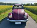 Volkswagen Maggiolino Rouge - thumbnail 2