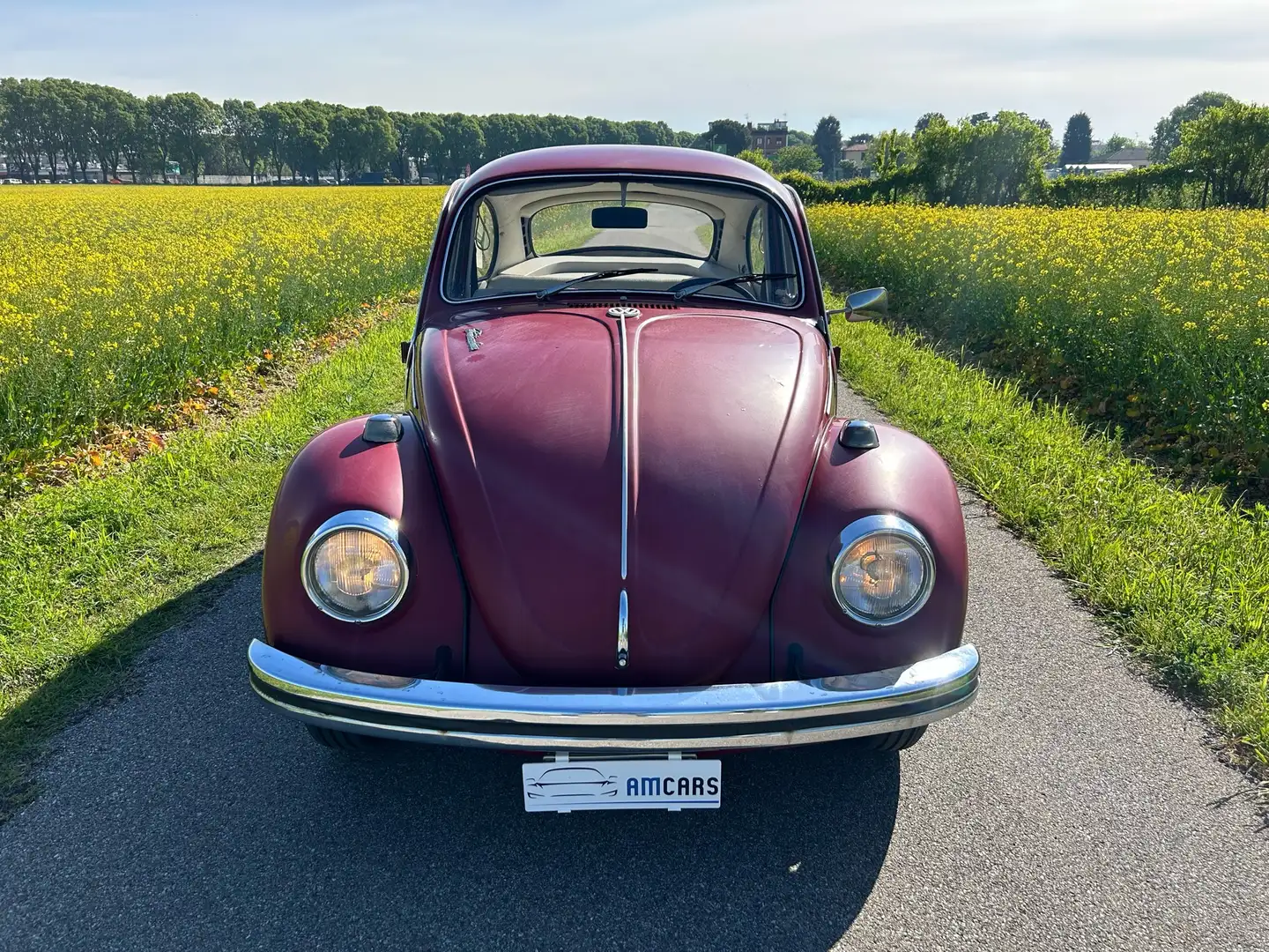 Volkswagen Maggiolino Piros - 2