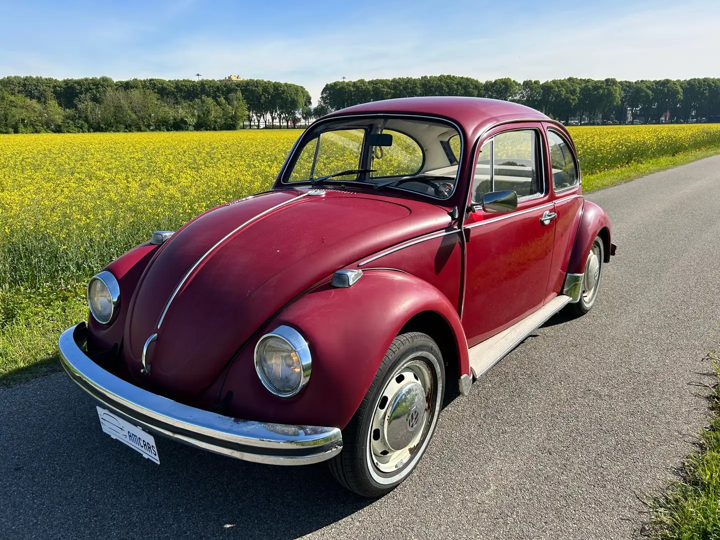 Volkswagen Maggiolino Red - 1