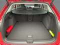 Volkswagen Golf Variant Golf VIII Variant 2.0 TDI DSG LIFE 5JG+NAVI+AHK Rouge - thumbnail 14