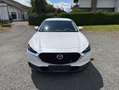 Mazda CX-30 SKYACTIV-G 2.0 150PS M Hybrid SELECTION DES-PREM-P Weiß - thumbnail 1