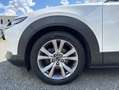 Mazda CX-30 SKYACTIV-G 2.0 150PS M Hybrid SELECTION DES-PREM-P Weiß - thumbnail 9