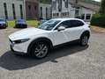 Mazda CX-30 SKYACTIV-G 2.0 150PS M Hybrid SELECTION DES-PREM-P Weiß - thumbnail 2