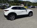 Mazda CX-30 SKYACTIV-G 2.0 150PS M Hybrid SELECTION DES-PREM-P Weiß - thumbnail 4