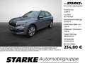Skoda Kamiq 1.0 TSI Drive Selection Grau - thumbnail 1