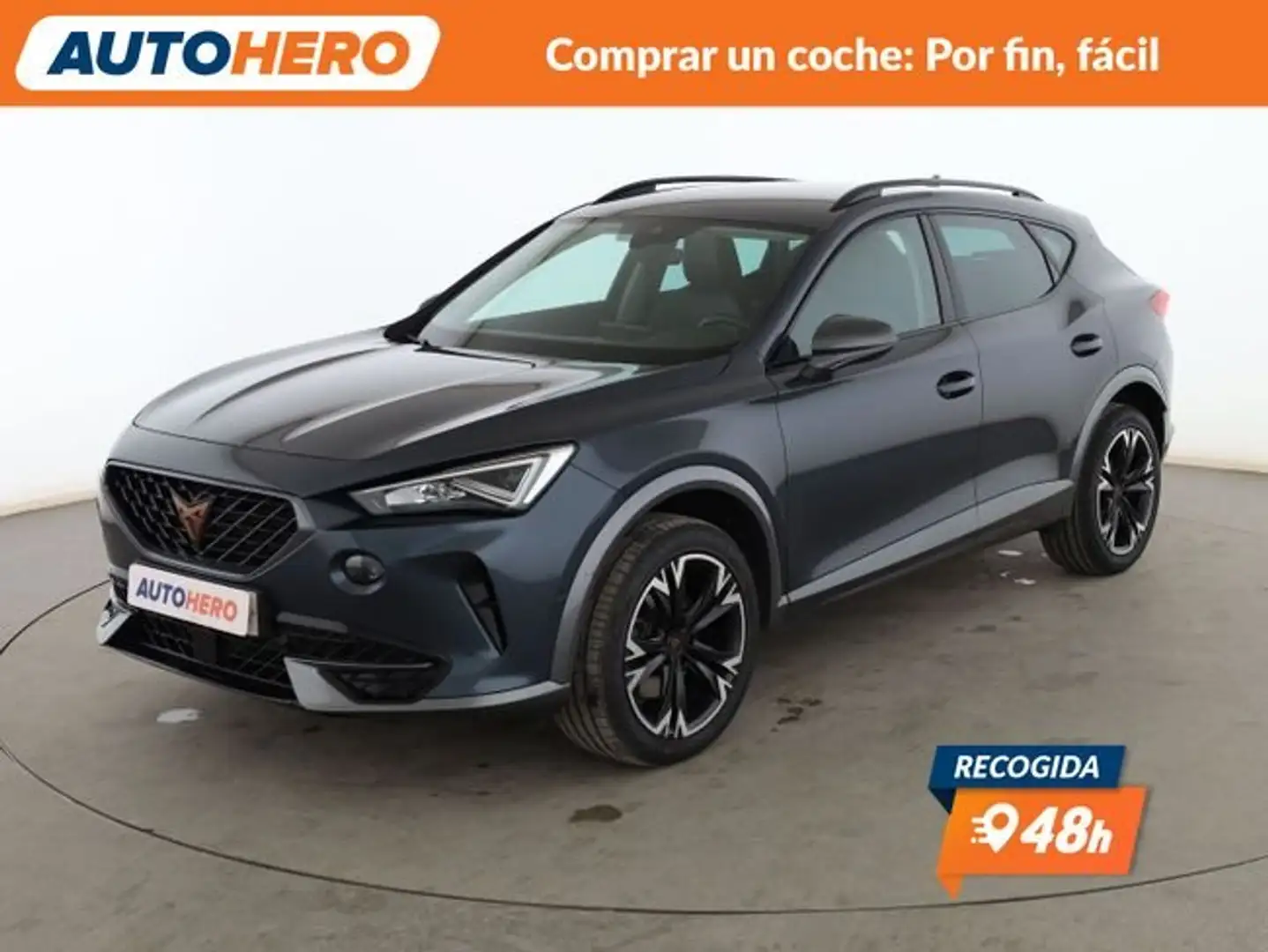CUPRA Formentor 2.0 TSI 4Drive Gris - 1