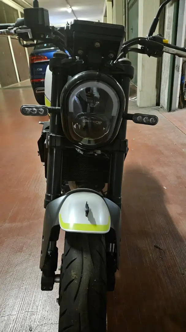 Benelli Leoncino Grigio - 1