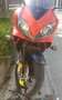 Honda CBR 600 Rojo - thumbnail 5