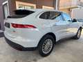 Jaguar F-Pace 2.0d 180 CV AWD aut. Prestige Blanc - thumbnail 5