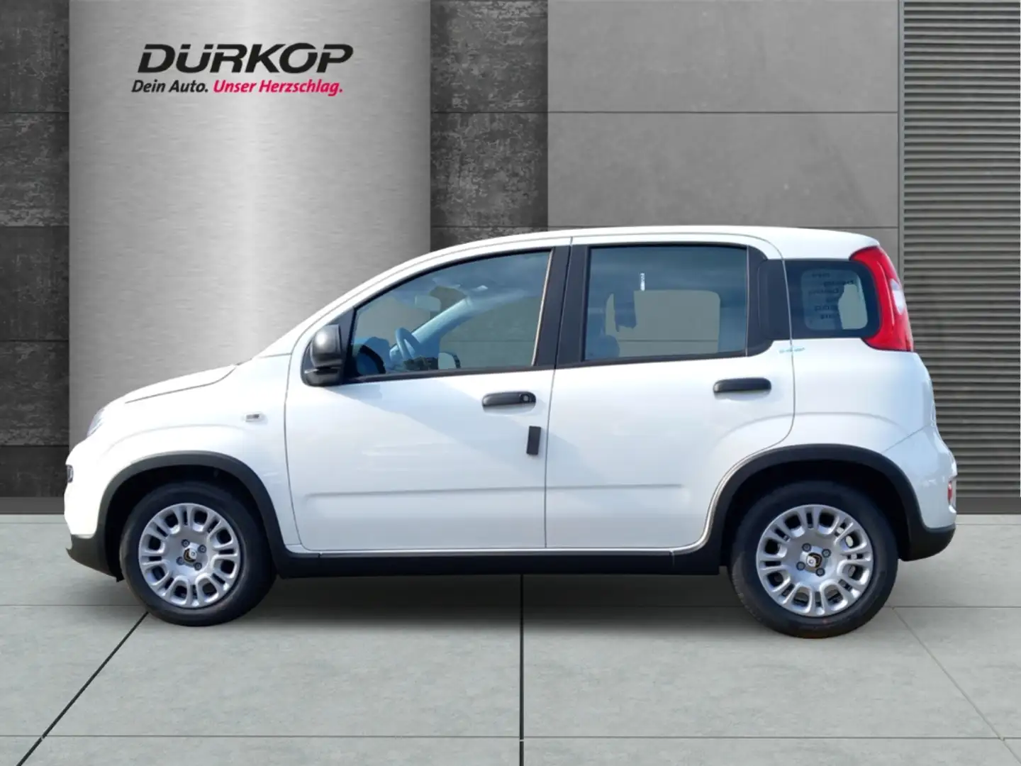 Fiat Panda Pandina Mild Hybrid 1.0 GSE City Paket DAB Spurhal Blanco - 2