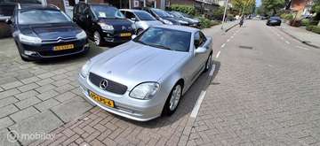 K. Cabrio