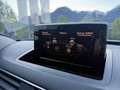 Audi Q3 2,0 TDI quattro DPF S-tronic Exklusive Grau - thumbnail 9