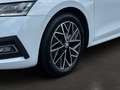 Skoda Octavia Combi 2,0 TDI First Edition DSG Weiß - thumbnail 14