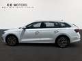 Skoda Octavia Combi 2,0 TDI First Edition DSG Weiß - thumbnail 12