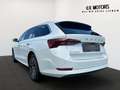 Skoda Octavia Combi 2,0 TDI First Edition DSG Weiß - thumbnail 11