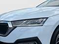 Skoda Octavia Combi 2,0 TDI First Edition DSG Weiß - thumbnail 13