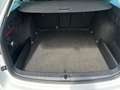 Skoda Octavia Combi 2,0 TDI First Edition DSG Weiß - thumbnail 15
