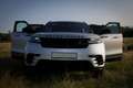 Land Rover Range Rover Velar 3.0D R-Dynamic SE 4WD Aut. 300 Plateado - thumbnail 17