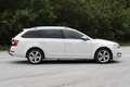 Skoda Octavia Octavia Combi 2,0 Elegance TDI Green tec DSG Elegance Weiß - thumbnail 6