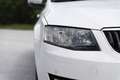 Skoda Octavia Octavia Combi 2,0 Elegance TDI Green tec DSG Elegance Weiß - thumbnail 3