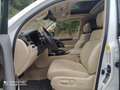 Lexus LX 570 Full Options Weiß - thumbnail 13