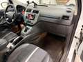 Ford Kuga Kuga 2.0 TDCi 163 CV 4WD Titanium DPF Bianco - thumbnail 14