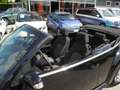 Volkswagen New Beetle 1.4 16v Cabrio - OK NEOPATENTATI - "DA VETRINA" Nero - thumbnail 6