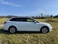 SEAT Leon ⭐️Pano*DSG*CNG-Hybrid Weiß - thumbnail 6