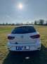 SEAT Leon ⭐️Pano*DSG*CNG-Hybrid Weiß - thumbnail 4