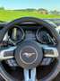 Ford Mustang Mustang 5,0 Ti-VCT V8 GT Cabrio Aut. GT Grau - thumbnail 9