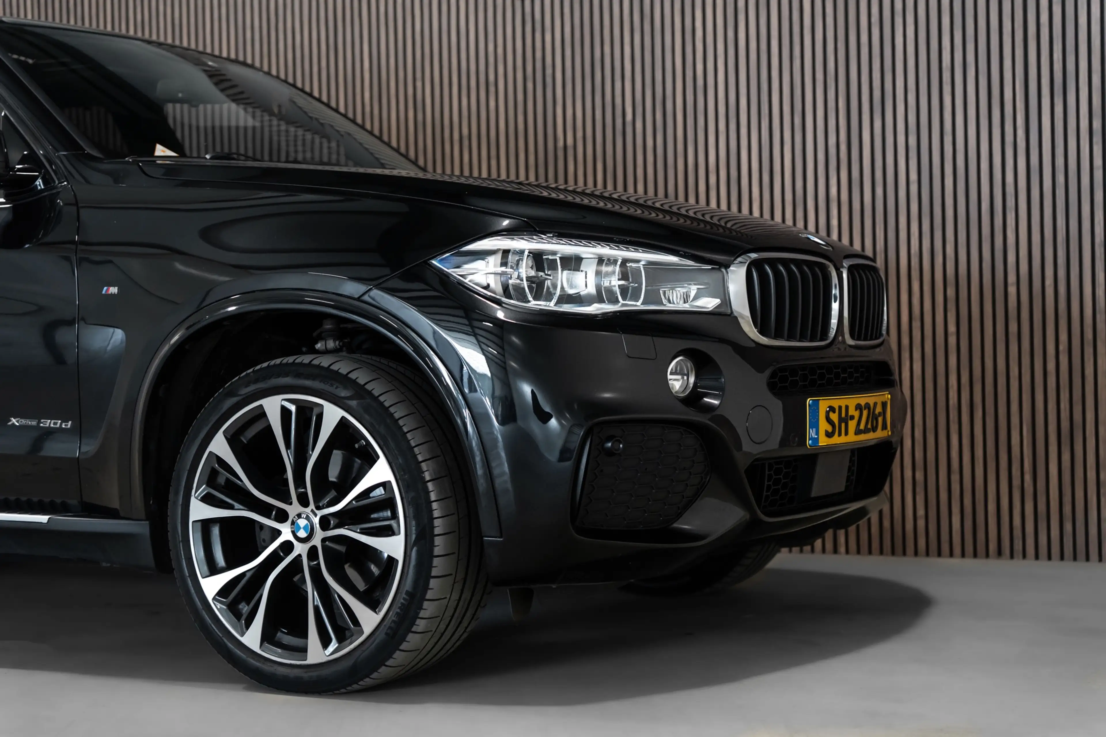 BMW X5 XDrive30d High Executive 7p. Pano Leder Camera Led — photo 7