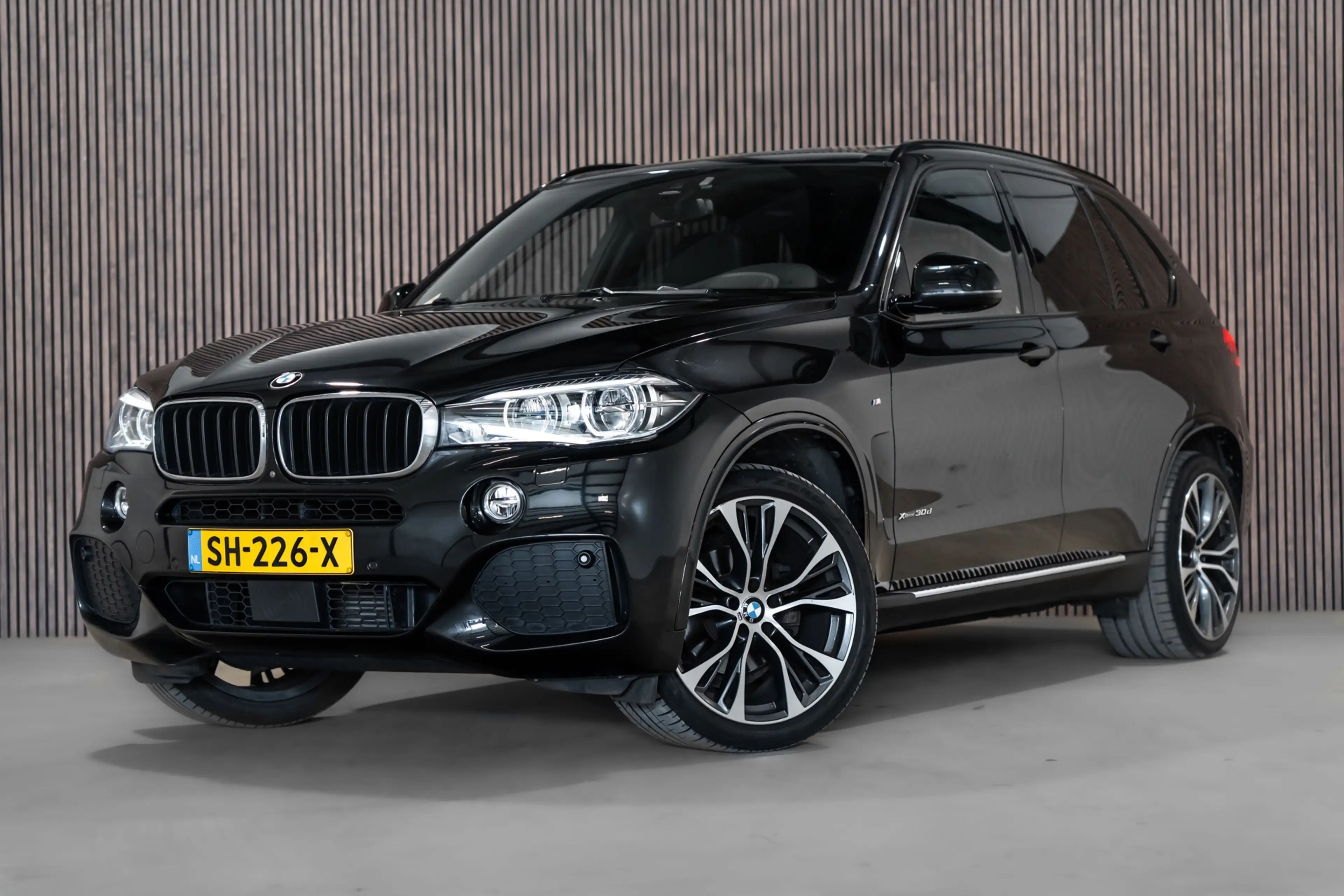 BMW X5 XDrive30d High Executive 7p. Pano Leder Camera Led