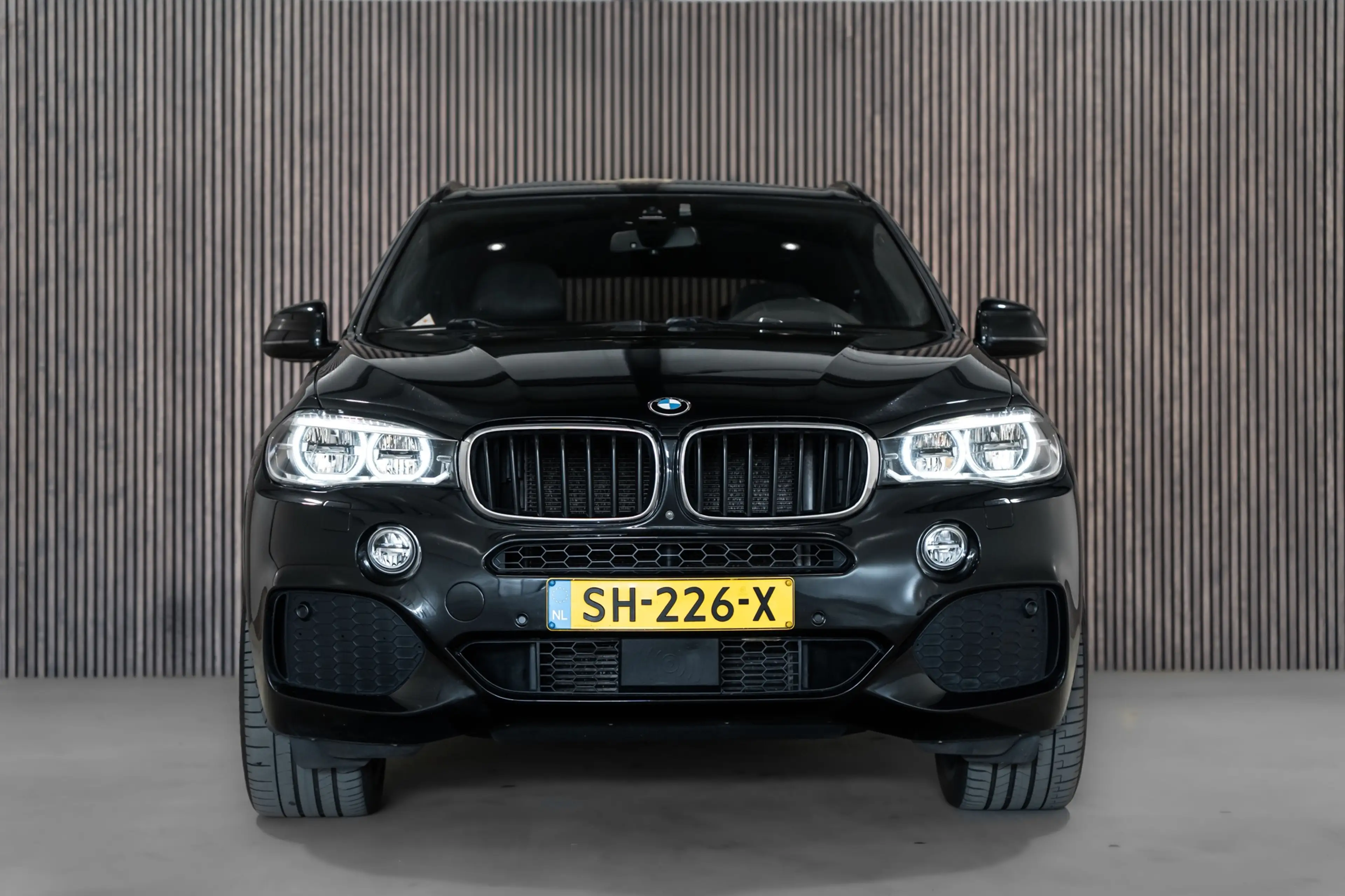 BMW X5 XDrive30d High Executive 7p. Pano Leder Camera Led — photo 4