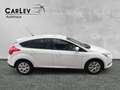 Ford Focus Zahnriemen neu Start/Stop PDC Weiß - thumbnail 8